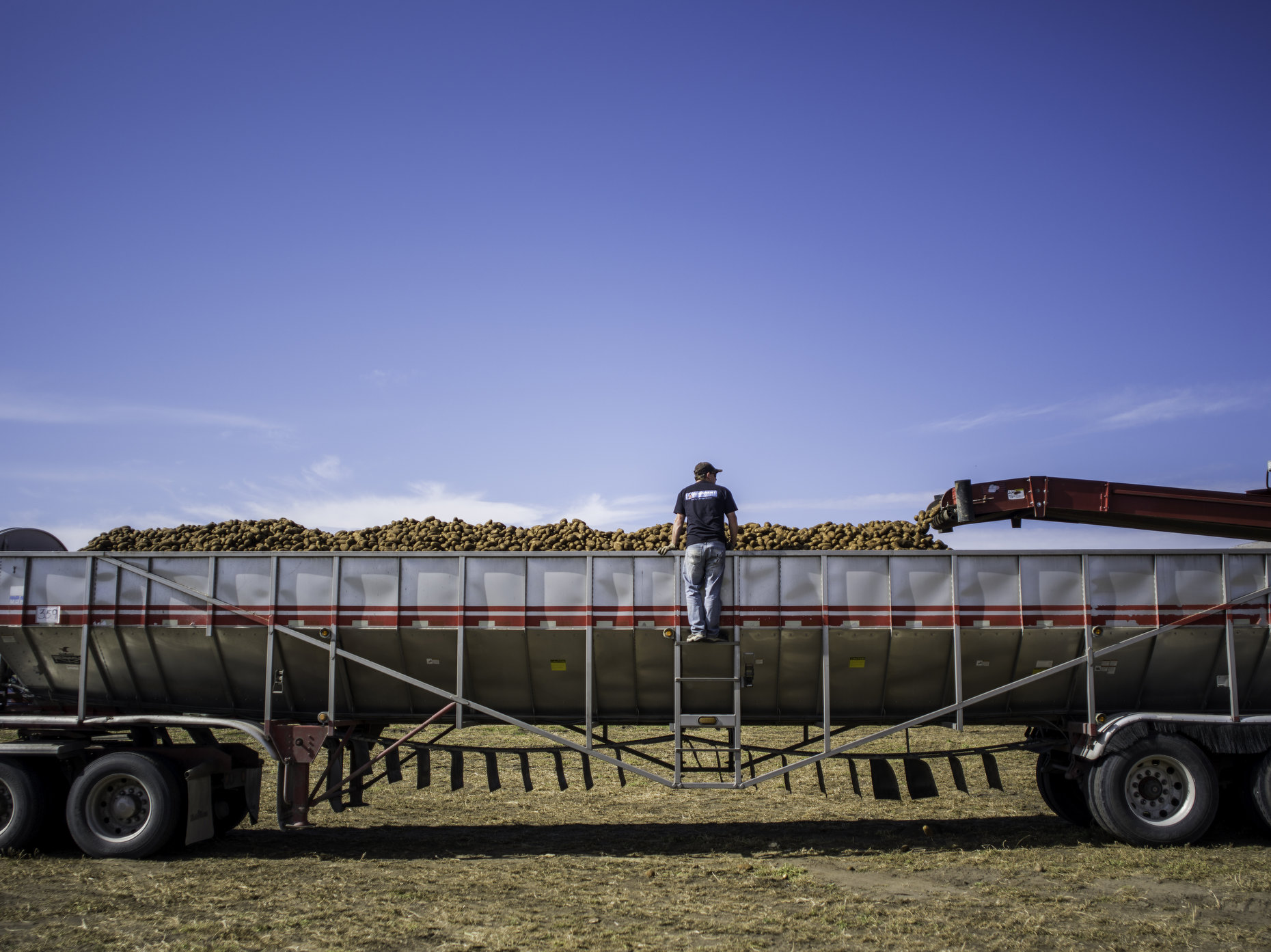 Harvest07